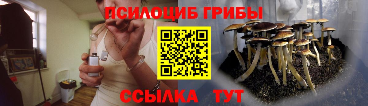 что такое   Галлюциногенные грибы мицелий  Псилоцибиновые грибы Psilocybe  Вход с VPN  Дербент 