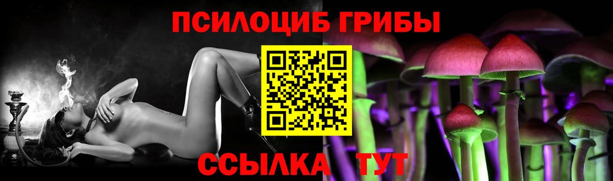 Псилоцибиновые грибы GOLDEN TEACHER Дербент